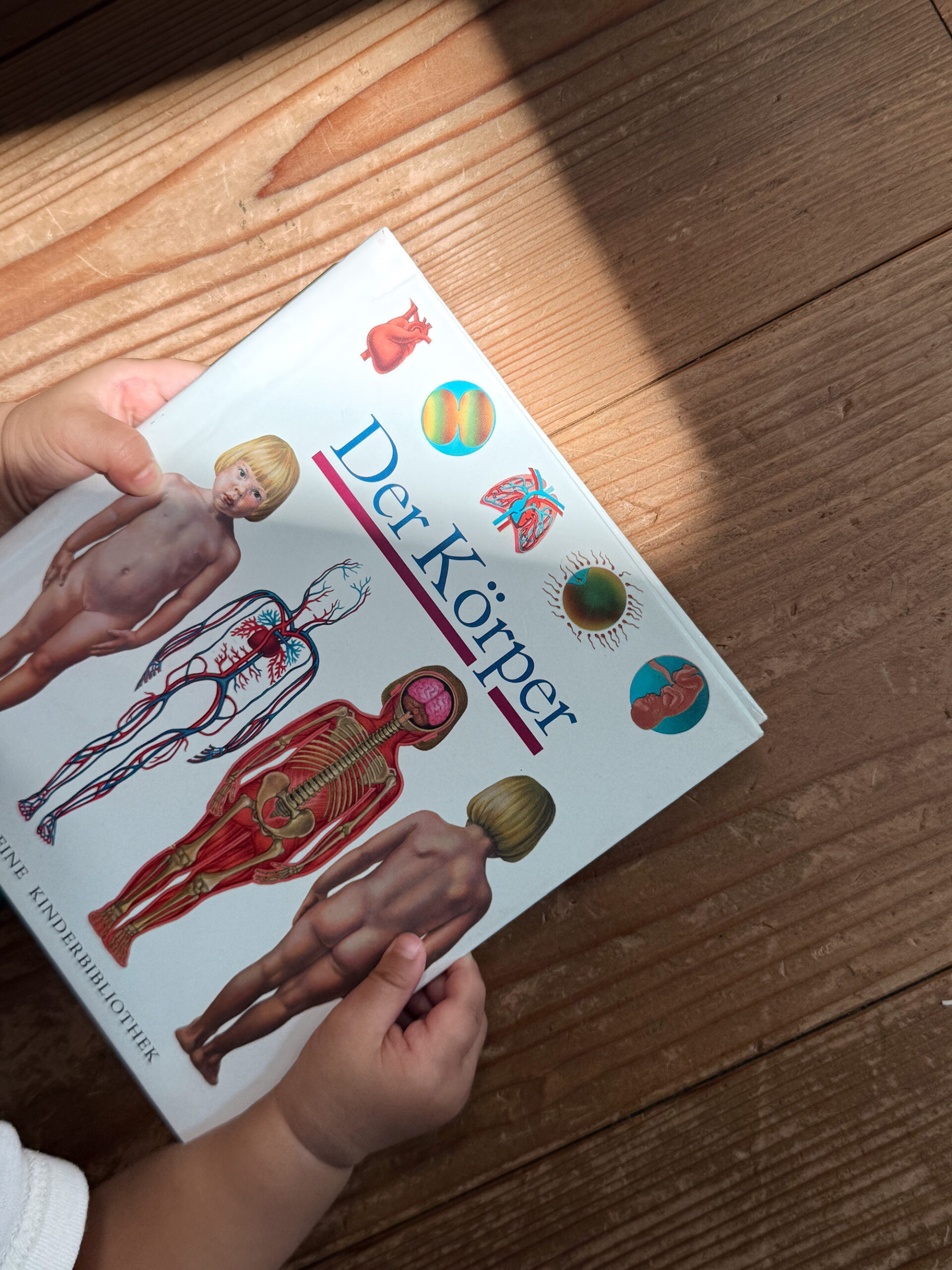 Encyclopedia series “The Body”