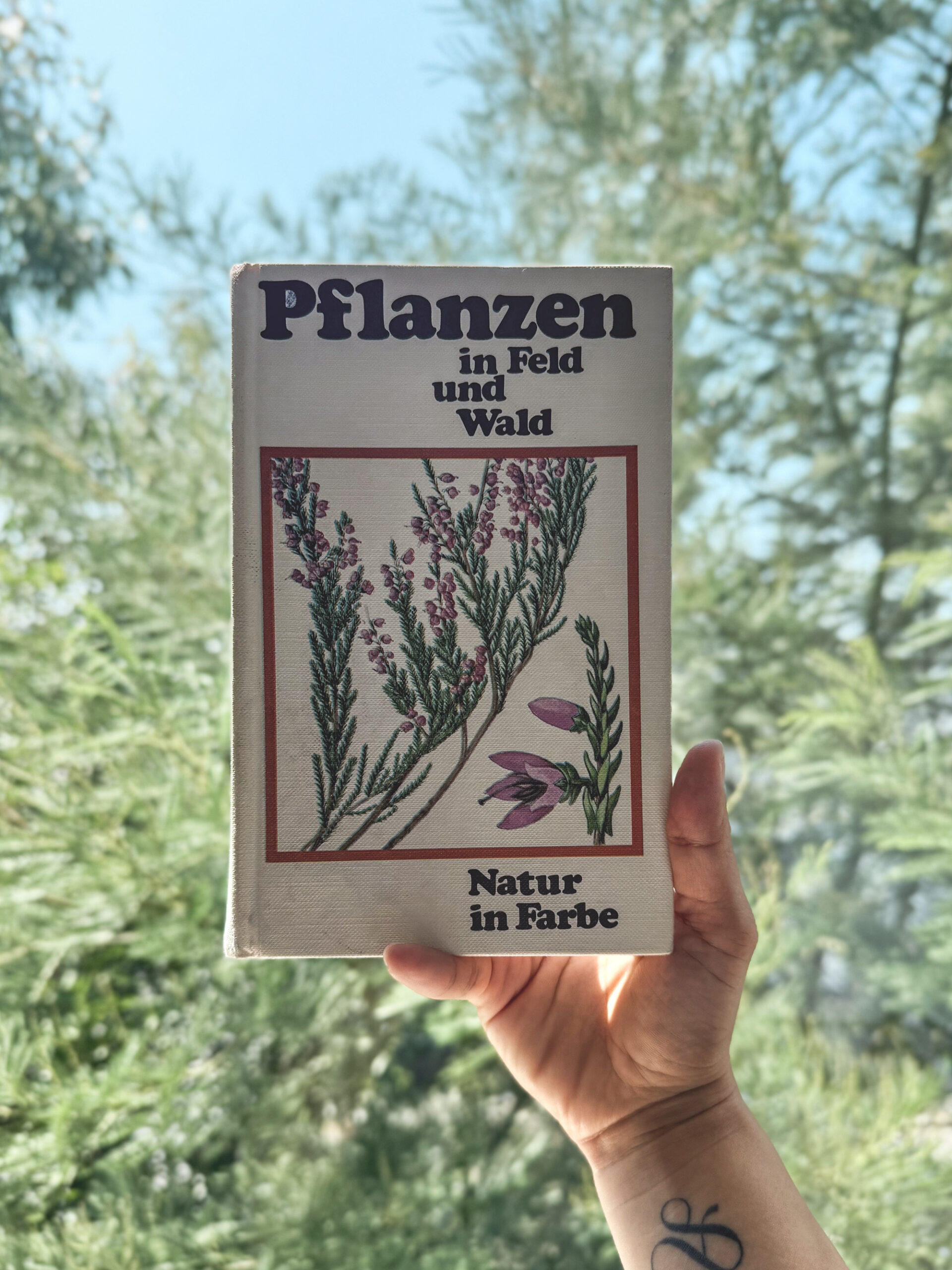 Encyclopedia series “The botanical picture book”
