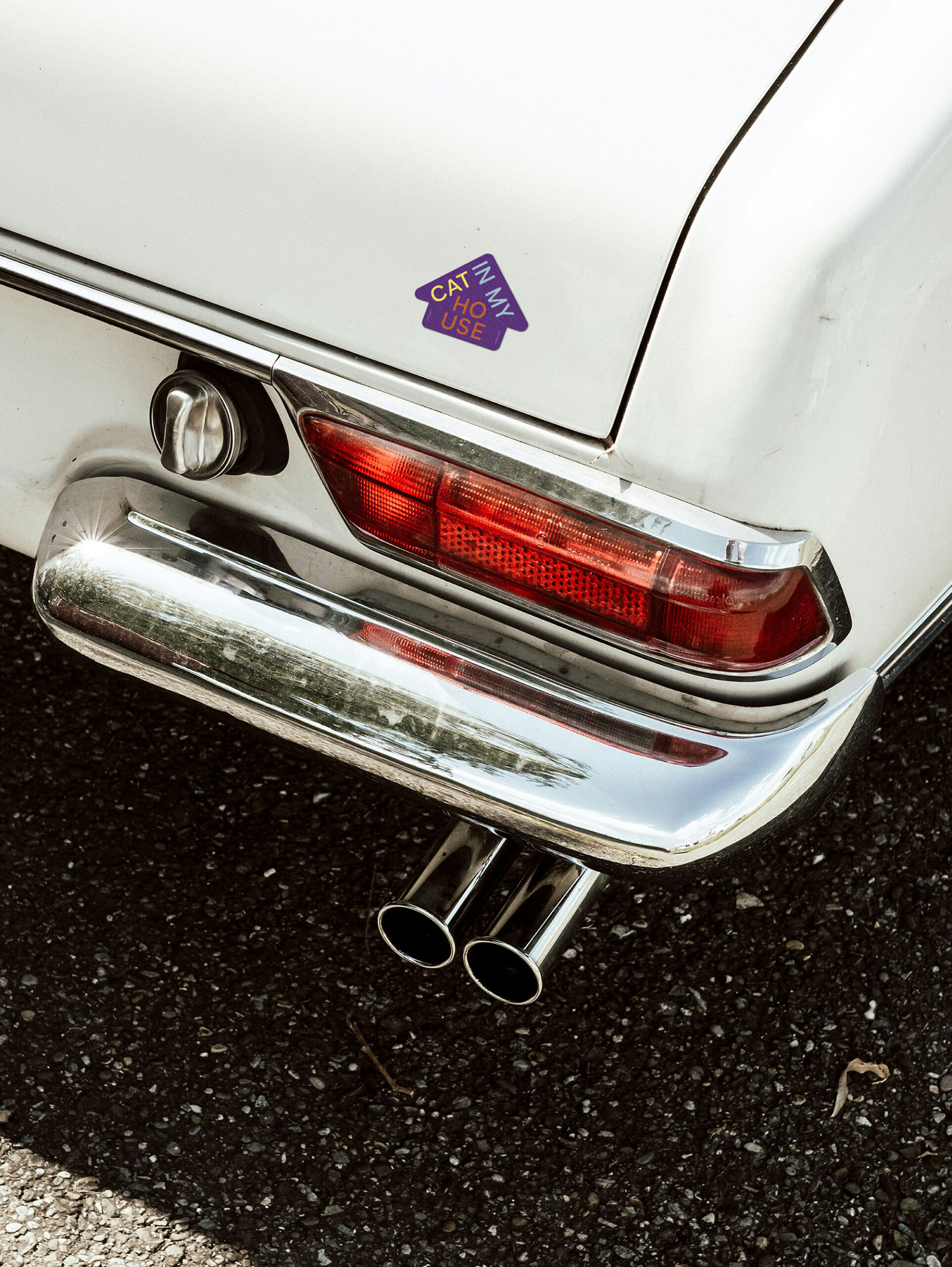 Car Magnet "Cat In My House" - 画像 (2)