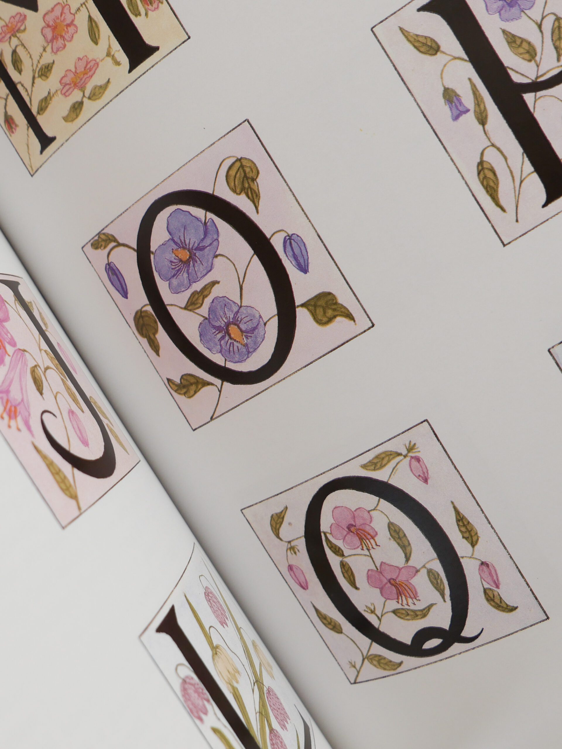 Calligraphy pattern book - 画像 (4)