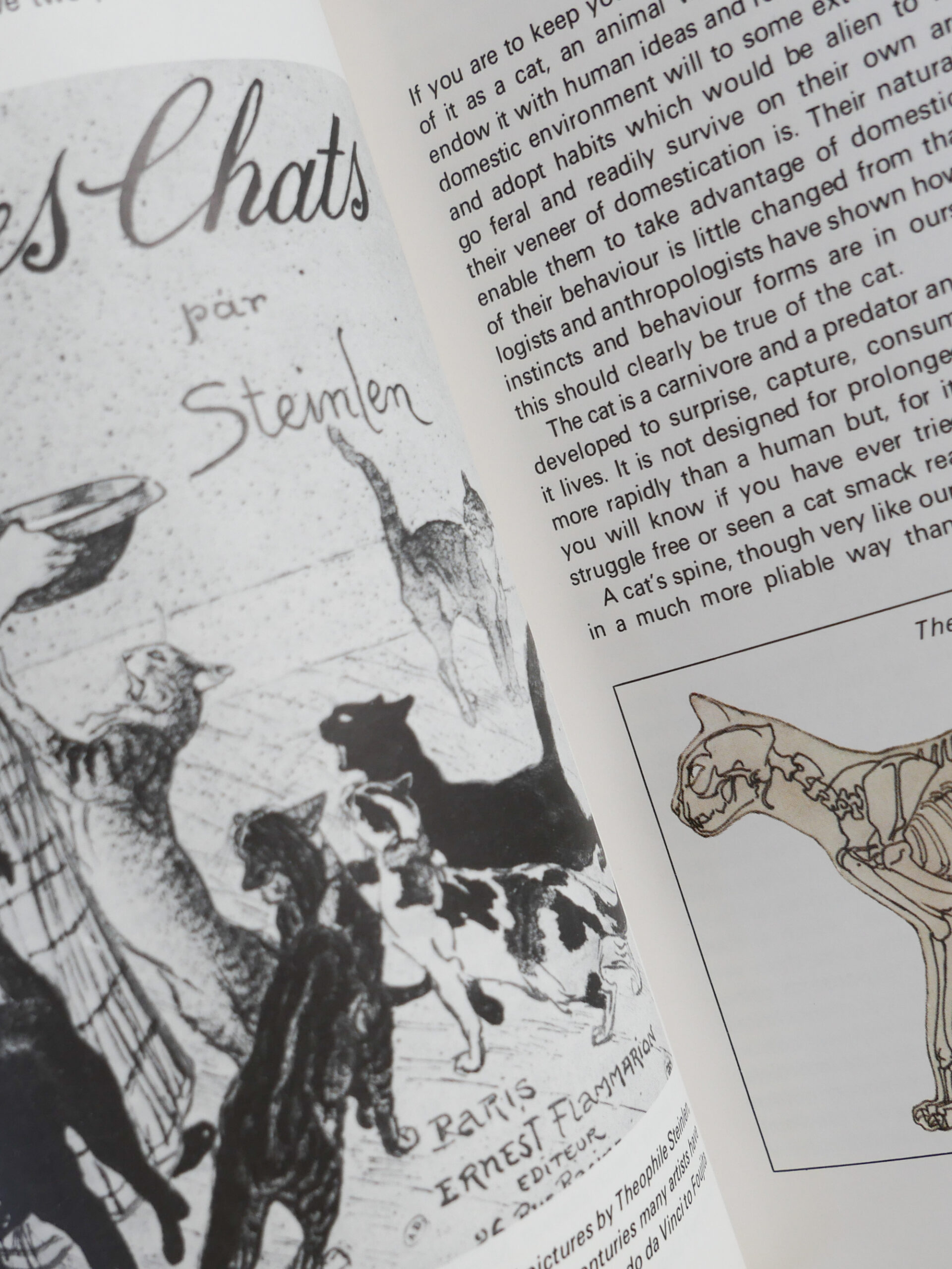 British cat encyclopedia - 画像 (2)