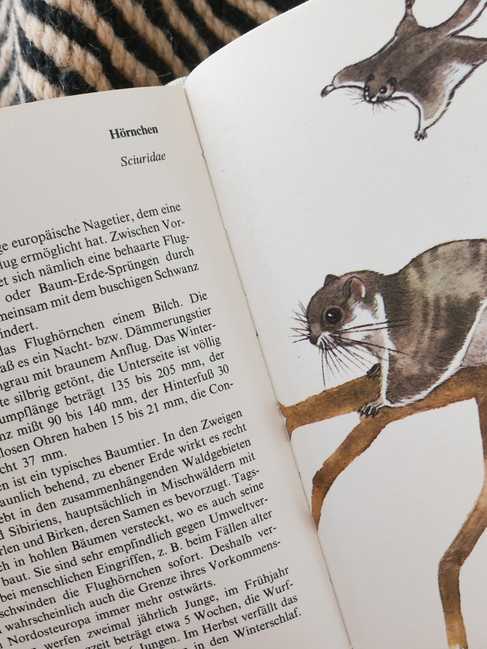 German mammal encyclopedia - 画像 (5)