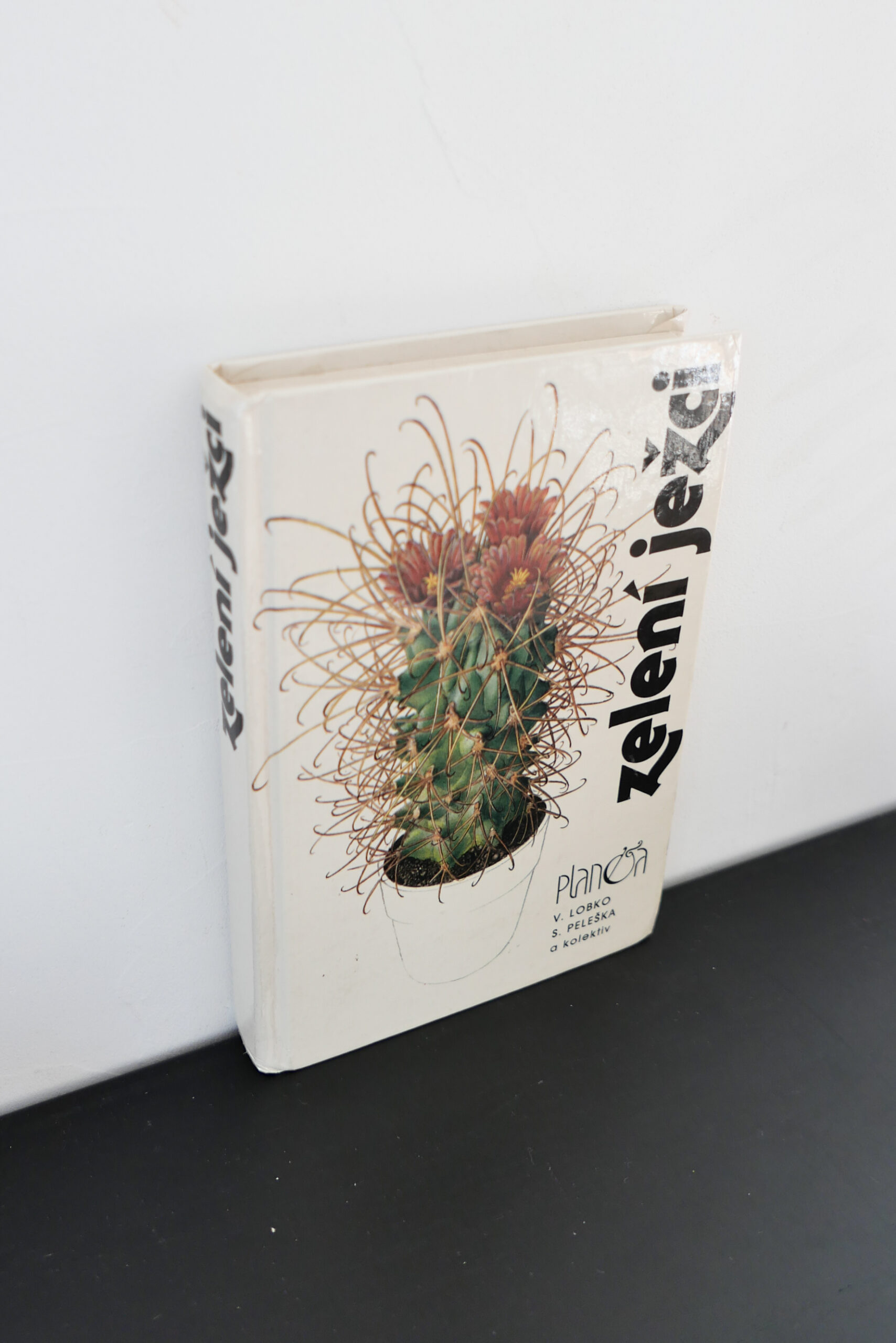 Czech succulent encyclopedia - 画像 (3)