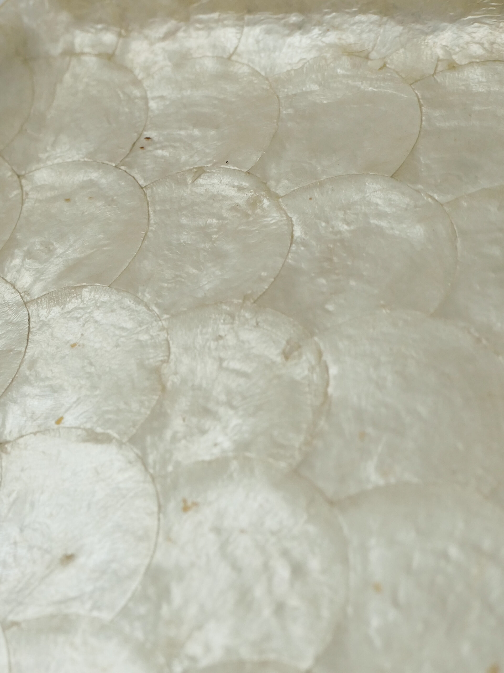 Philippine capiz shell tray - 画像 (3)